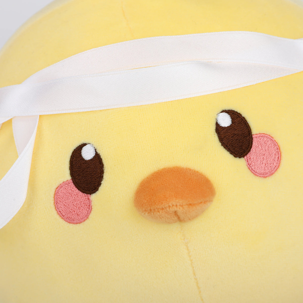 患者小雞 (Sick Chick) AoiHinamori
