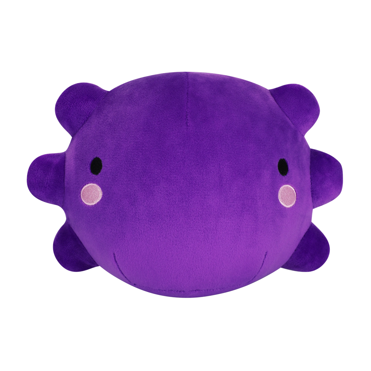 Bucko Amiya Aranha