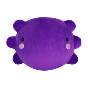 Bucko Amiya Aranha