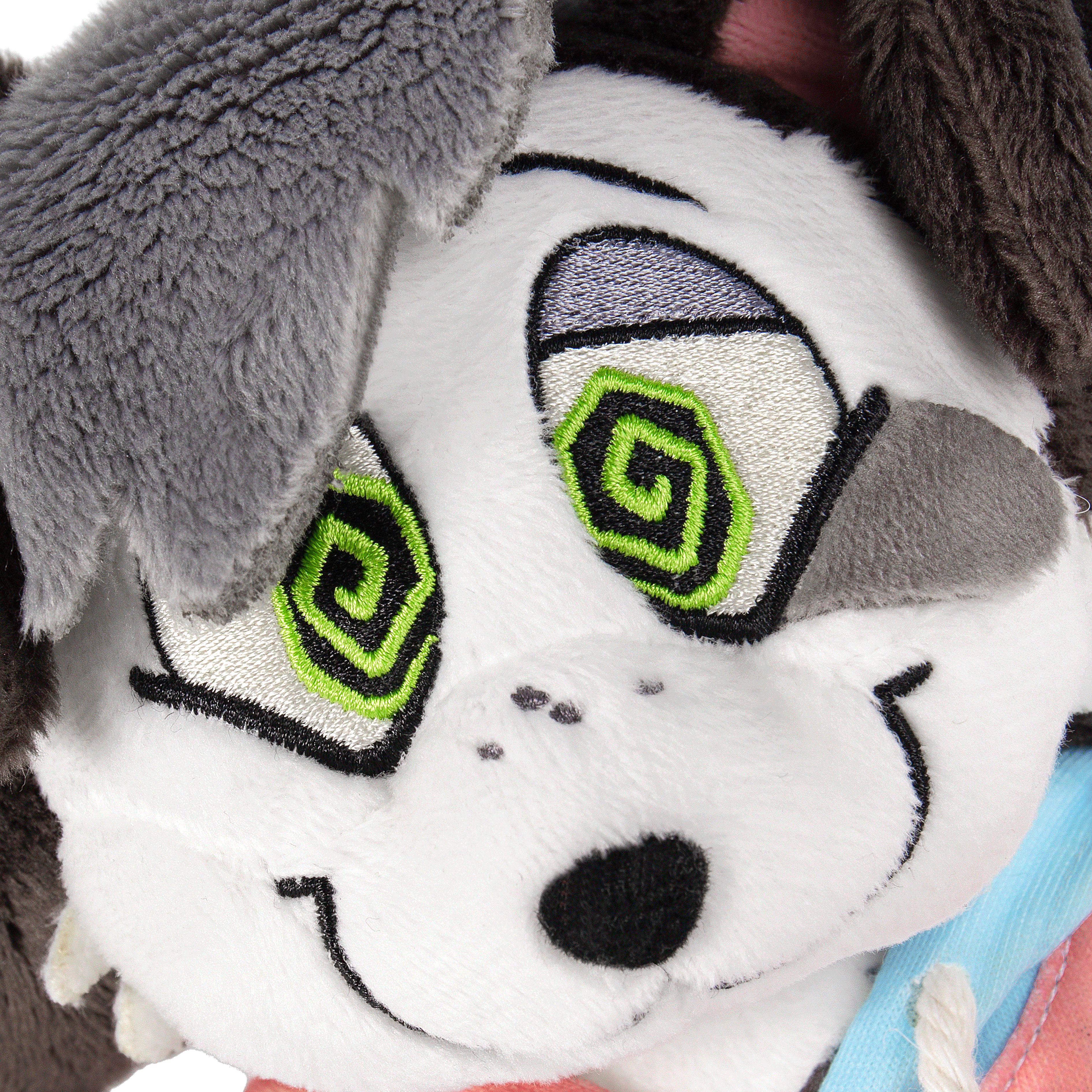 Buddy Collie